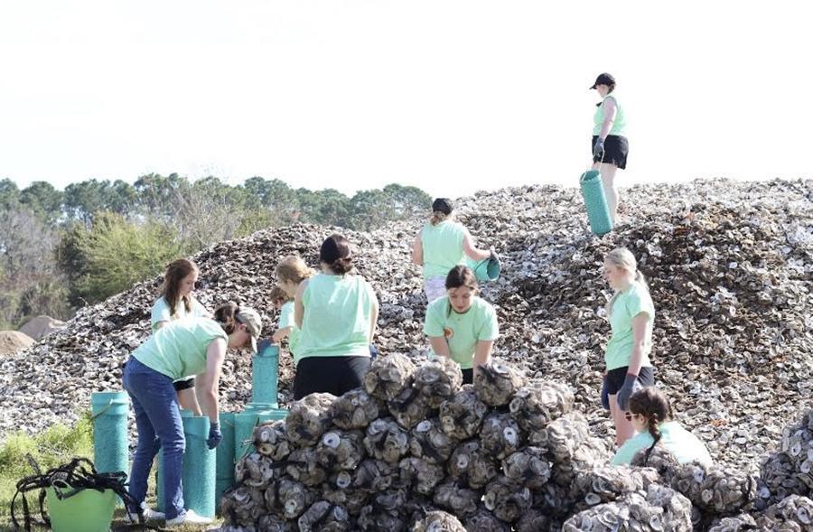 <a href='http://salmonbayk8.getrealcuba.com'>全国网赌正规平台</a>的另类春假学生组织三月份去了罗斯玛丽海滩, 佛罗里达, 他们的工作包括将牡蛎壳装袋，作为珊瑚礁重新造林项目的一部分. (提交的图)